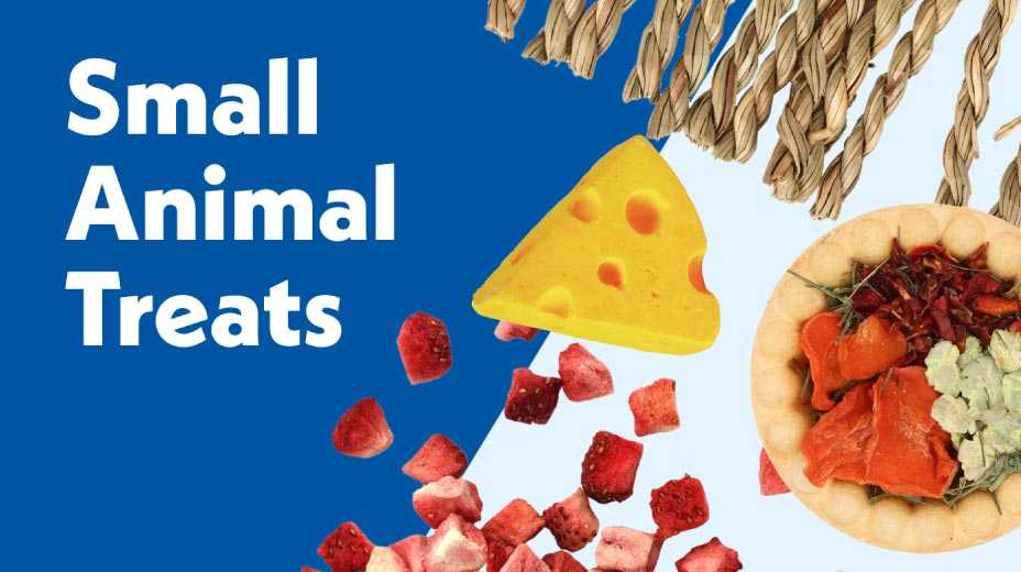 Small animal treats