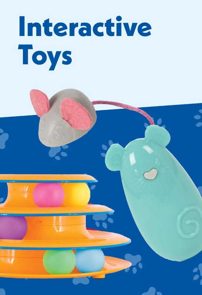 Interactive toys