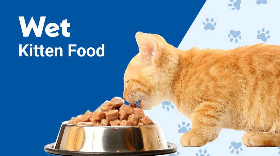 Wet kitten food