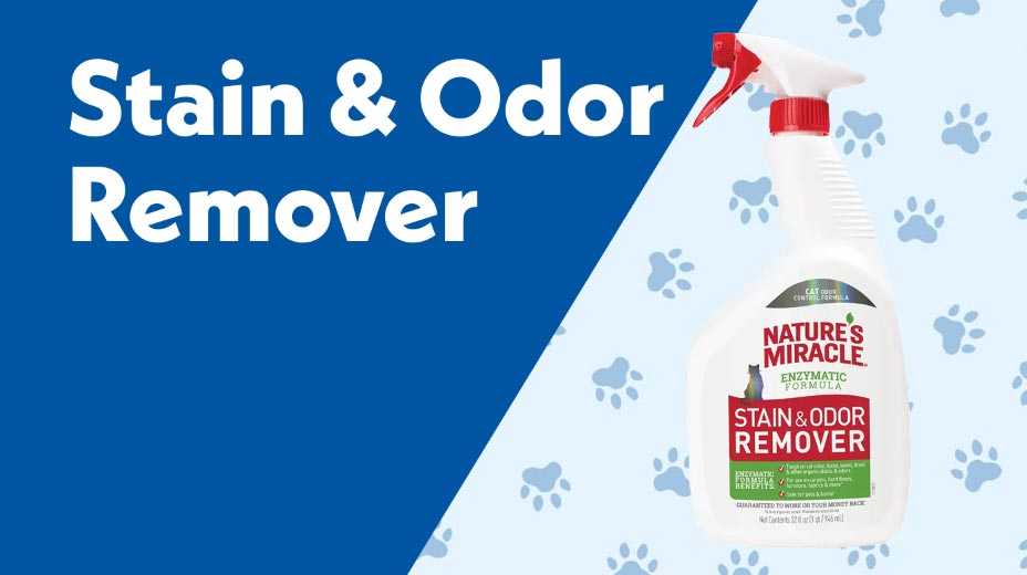 Stain and odor remover