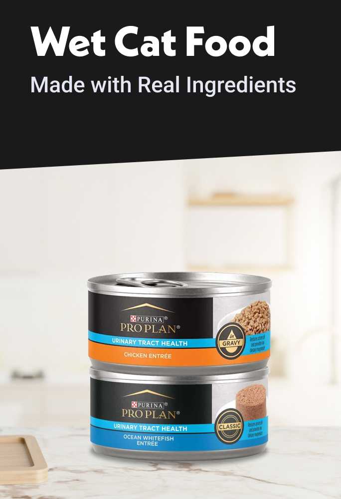 Wet cat food. Made with real ingredients