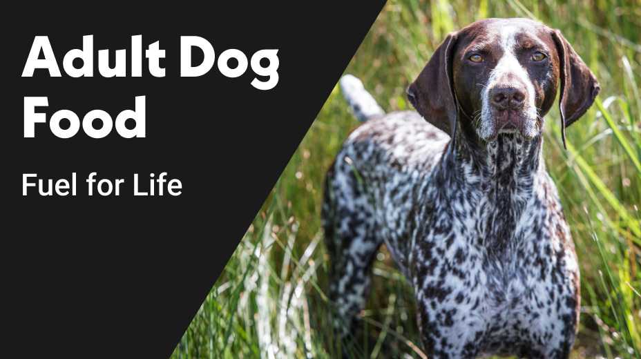 Adult dog food. Fuel for life.