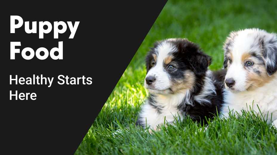 Puppy food. Healthy starts here.