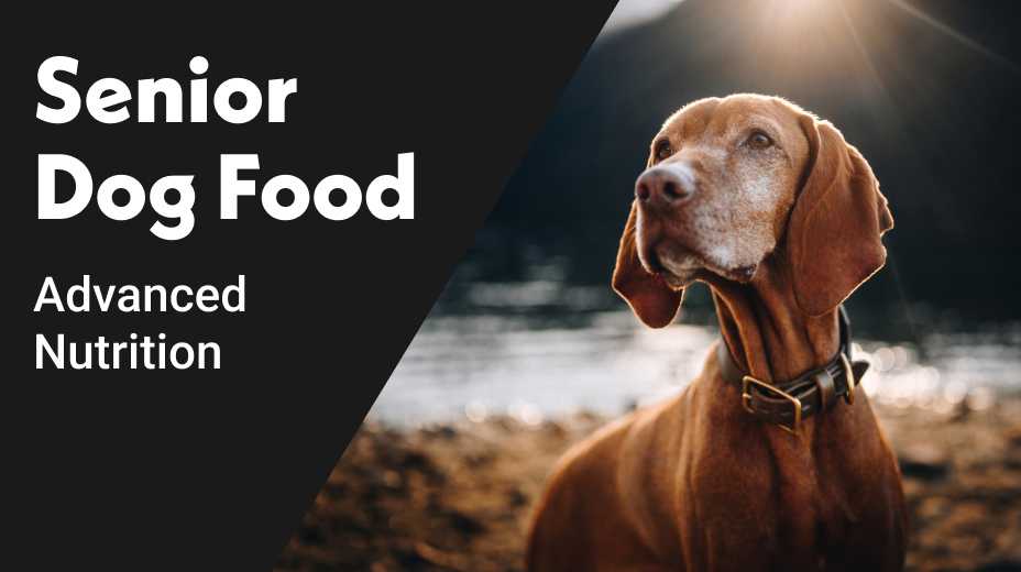 Senior dog food. Advanced nutrition.