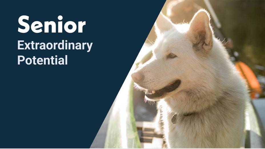 Senior. Extraordinary potential.