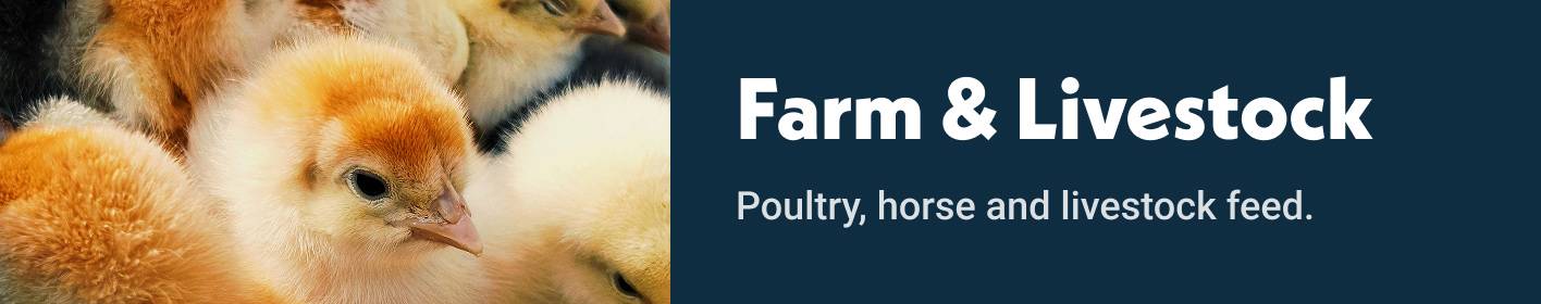Shop Farm & Livestock by Purina. Poultry, horse and livestock feed.