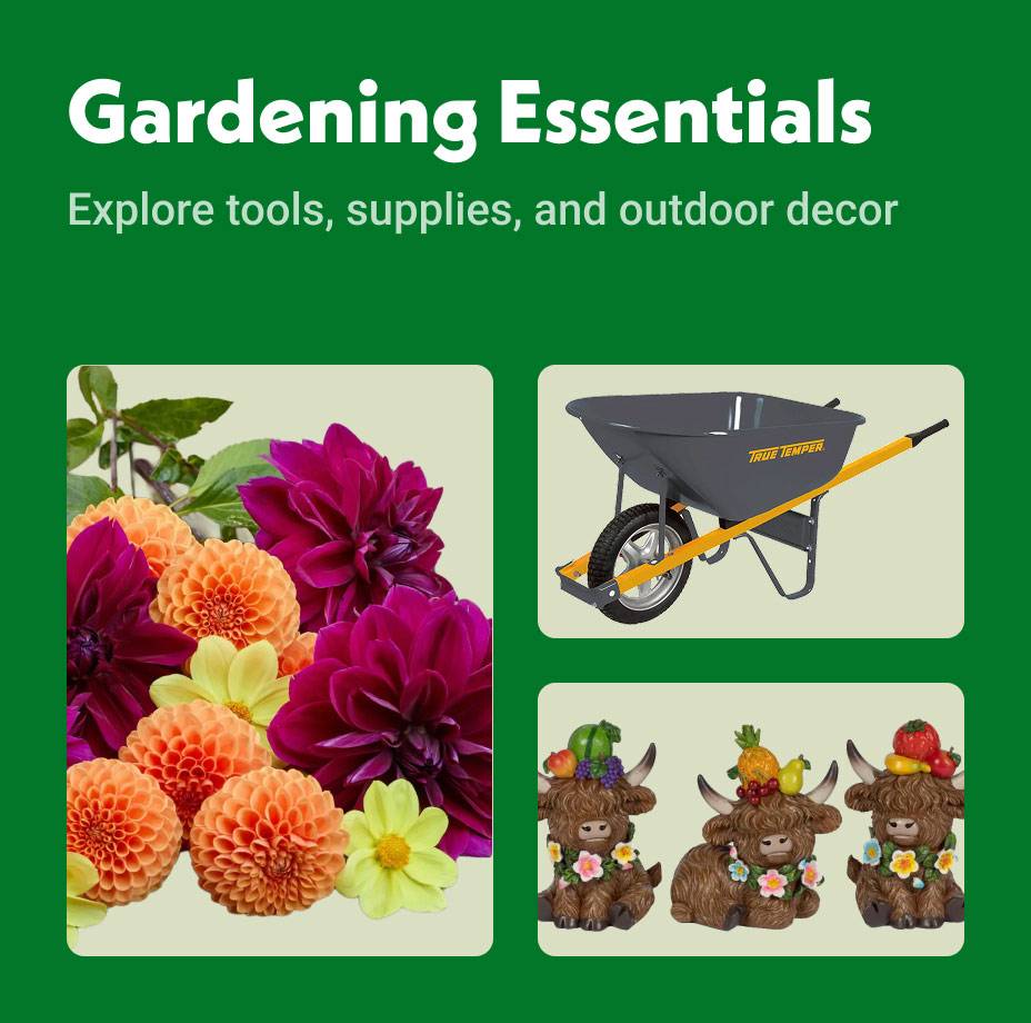 Gardening Essentials: Explore tools, supplies, and outdoor decor