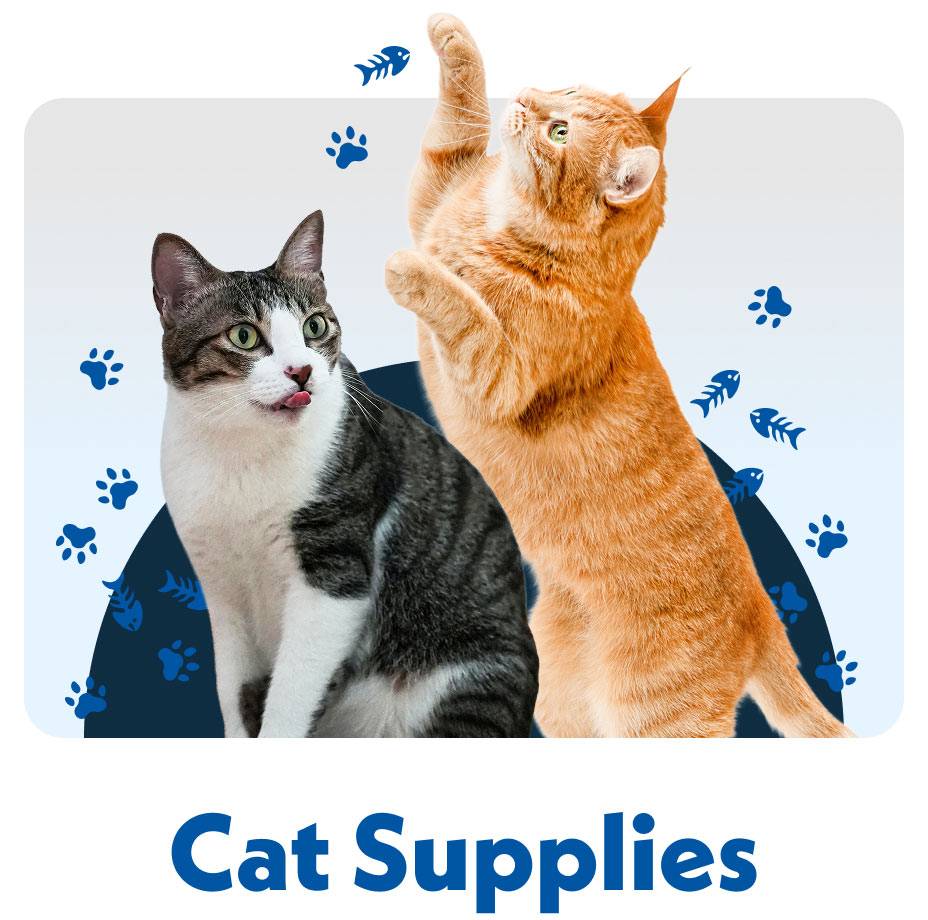Blain's Cat Supplies - Food, Treats, Litter and Toys