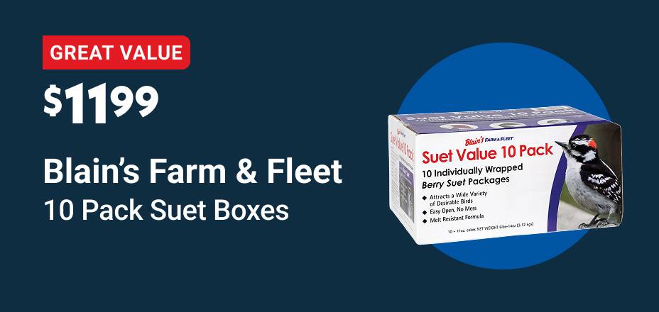 Blain's Farm & Fleet Bird Suet 10 Packs $11.99