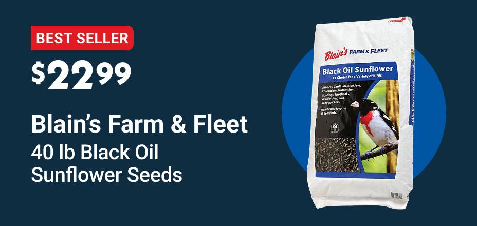 Blain's Farm & Fleet Black Oil Sunflower Seeds, 40 lb $22.99