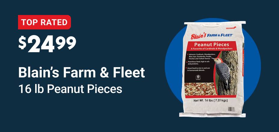 Blain's Farm & Fleet 16 lb Shelled Peanuts $24.99