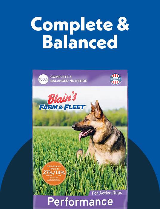 Complete & Balanced Dog Food