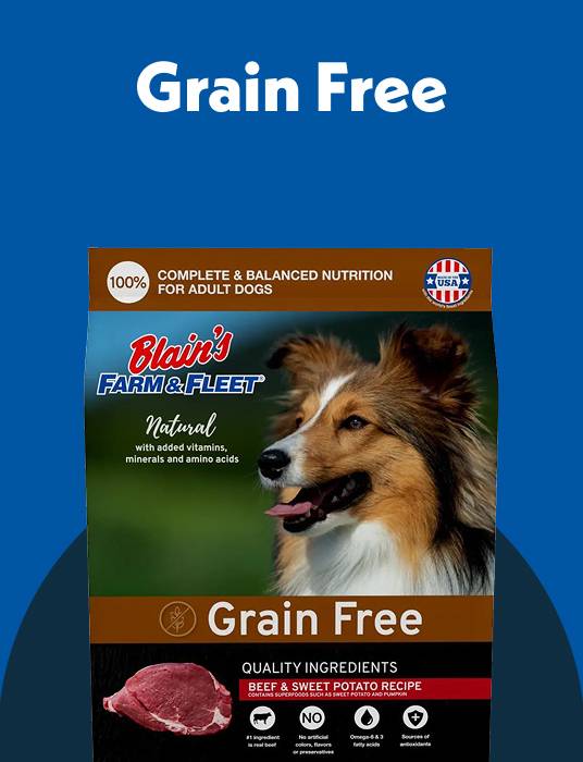 Grain Free Dog Food