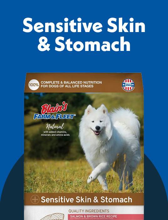 Sensitive Skin & Stomach Dog Food