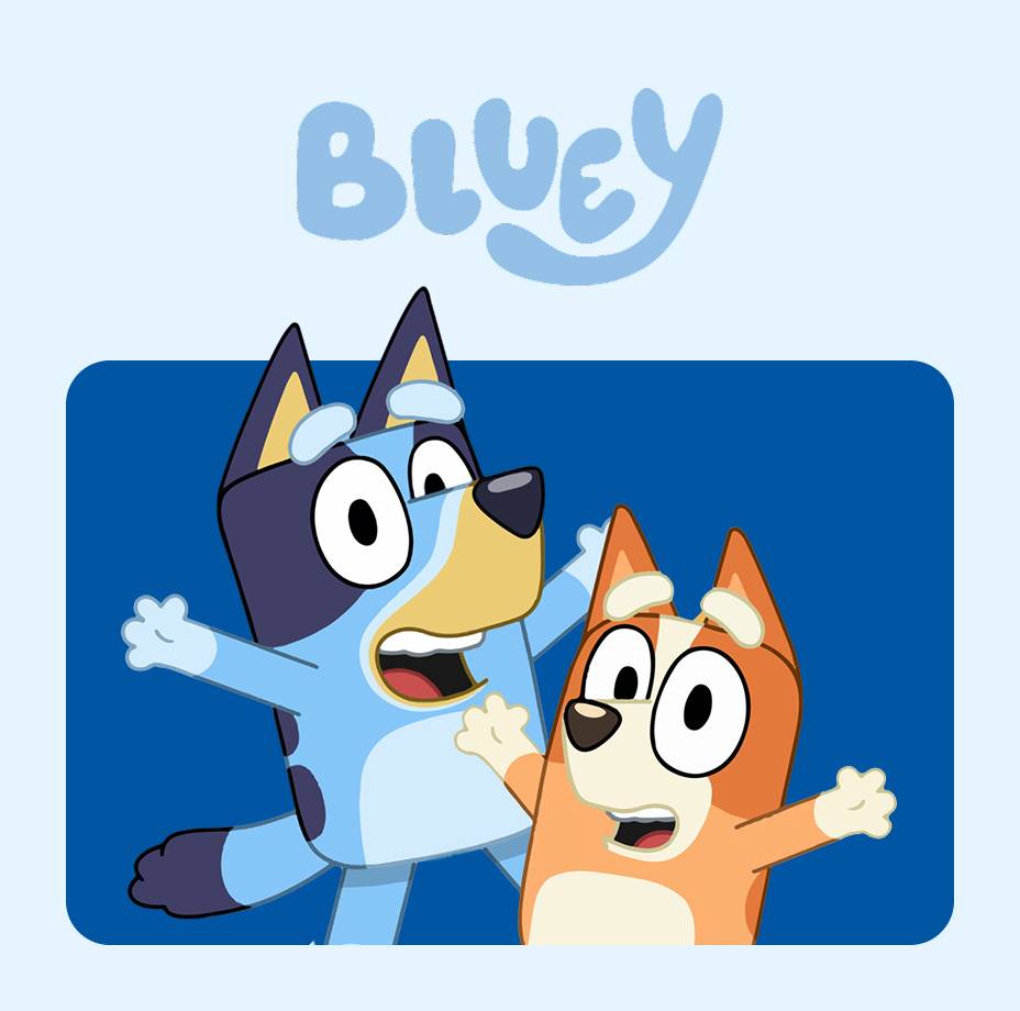 Bluey Toys