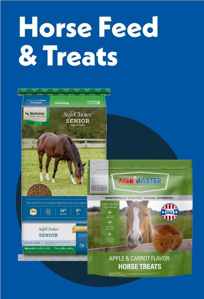 Horse feed and treats