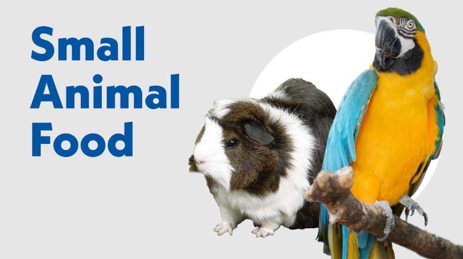 Small animal food