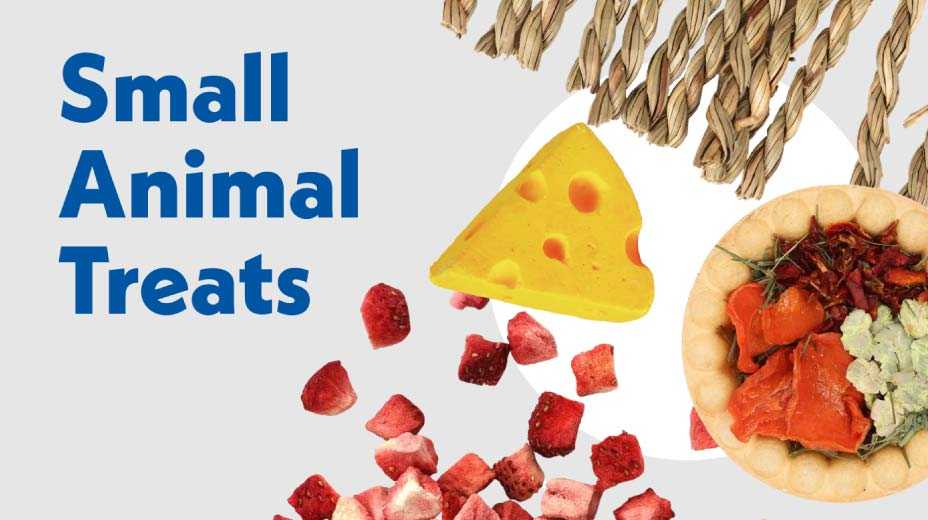 Small animal treats
