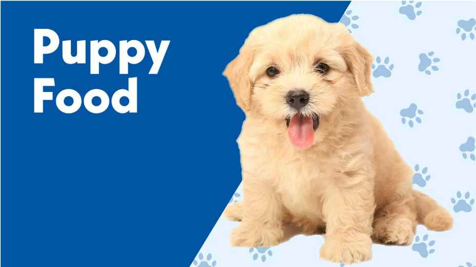 Puppy Food