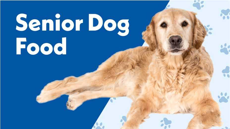 Senior Dog Food