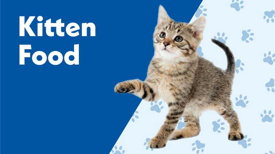 Kitten Food