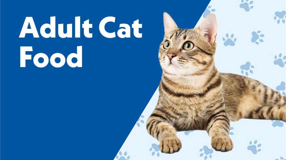 Adult Cat Food