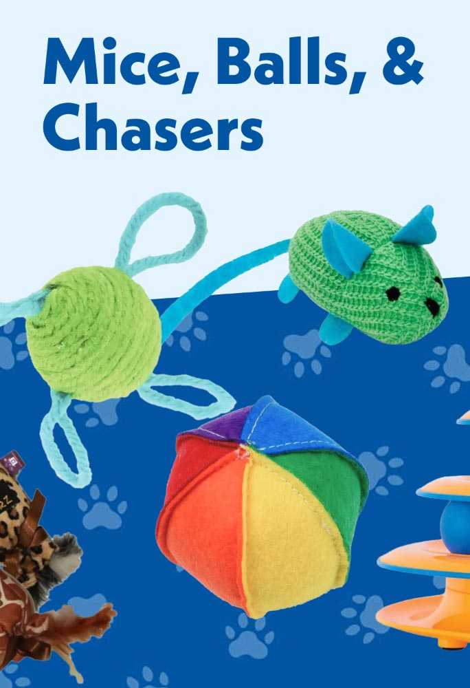 Mice, balls, and chasers