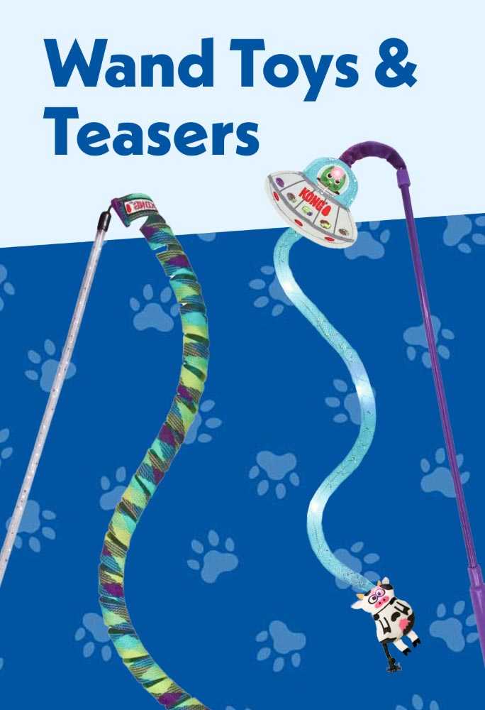 Wand toys and teasers