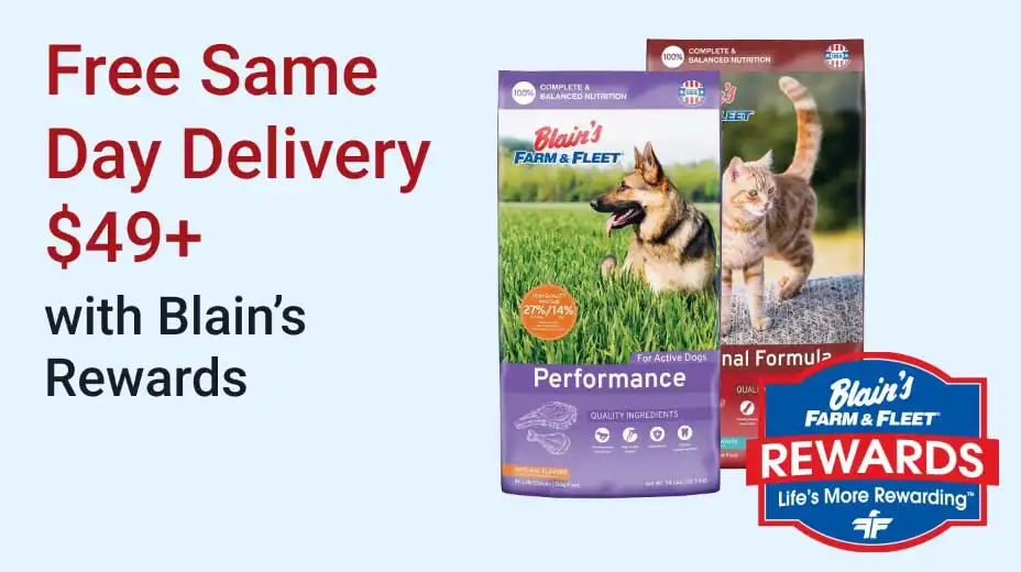 Free same day delivery $49+ with Blain's Rewards