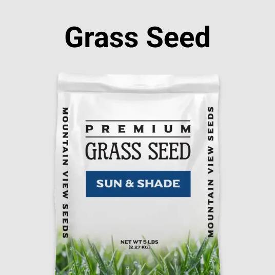 Grass Seed