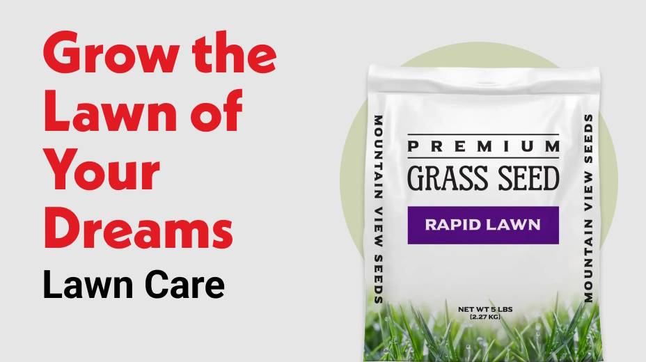 Grow the Lawn of Your Dreams Lawn Care