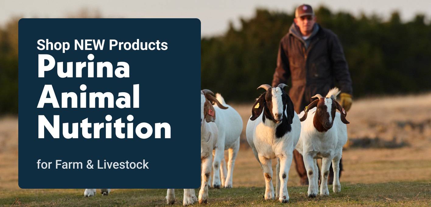 Shop NEW Products Purina Animal Nutrition for Farm & Livestock