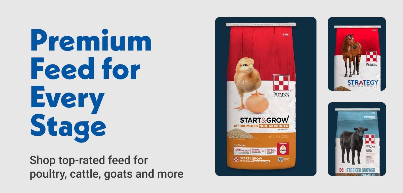 Premium Feed for Every Stage Shop top-rated feed for poultry, cattle, goats and more