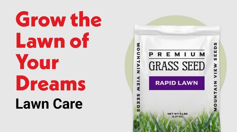 Grow the Lawn of Your Dreams Lawn Care