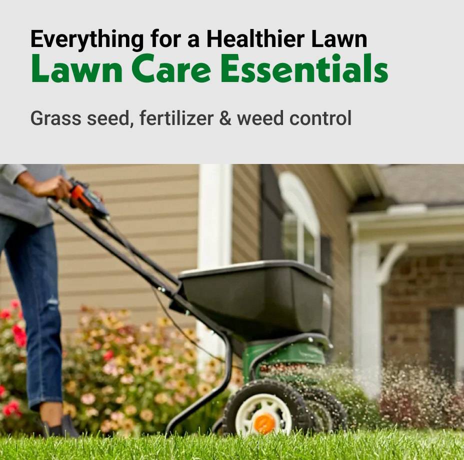 Everything for a Healthier Lawn Lawn Care Essentials Grass seed, fertilizer & weed control