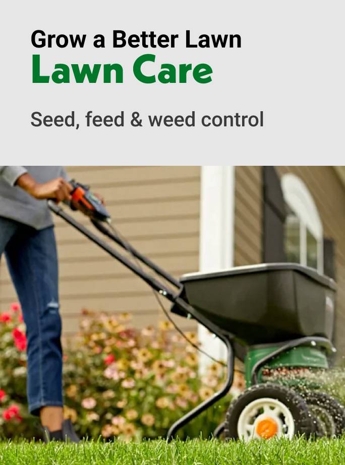 Grow a Better Lawn Lawn Care Seed, feed & weed control