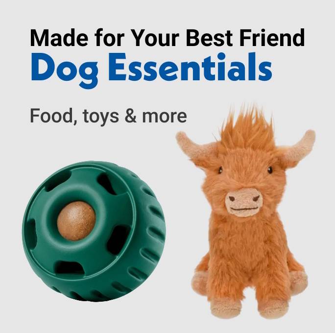Made for Your Best Friend Dog Essentials Food, toys & more