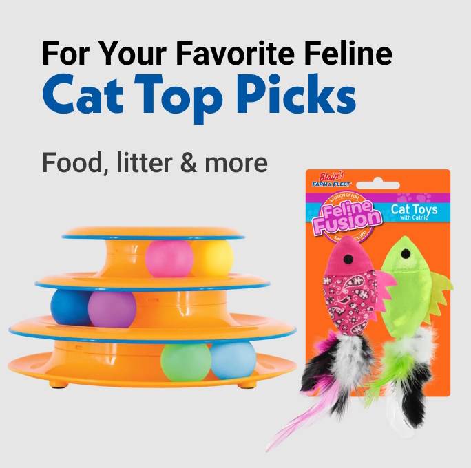 For Your Favorite Feline Cat Top Picks Food, litter & more