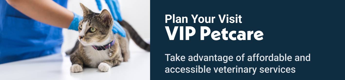 Plan Your Visit VIP Petcare Take advantage of affordable and accessible veterinary services