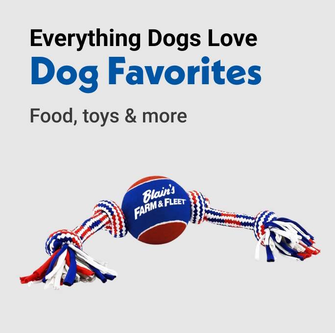 Everything Dogs Love Dog Favorites Food, toys & more