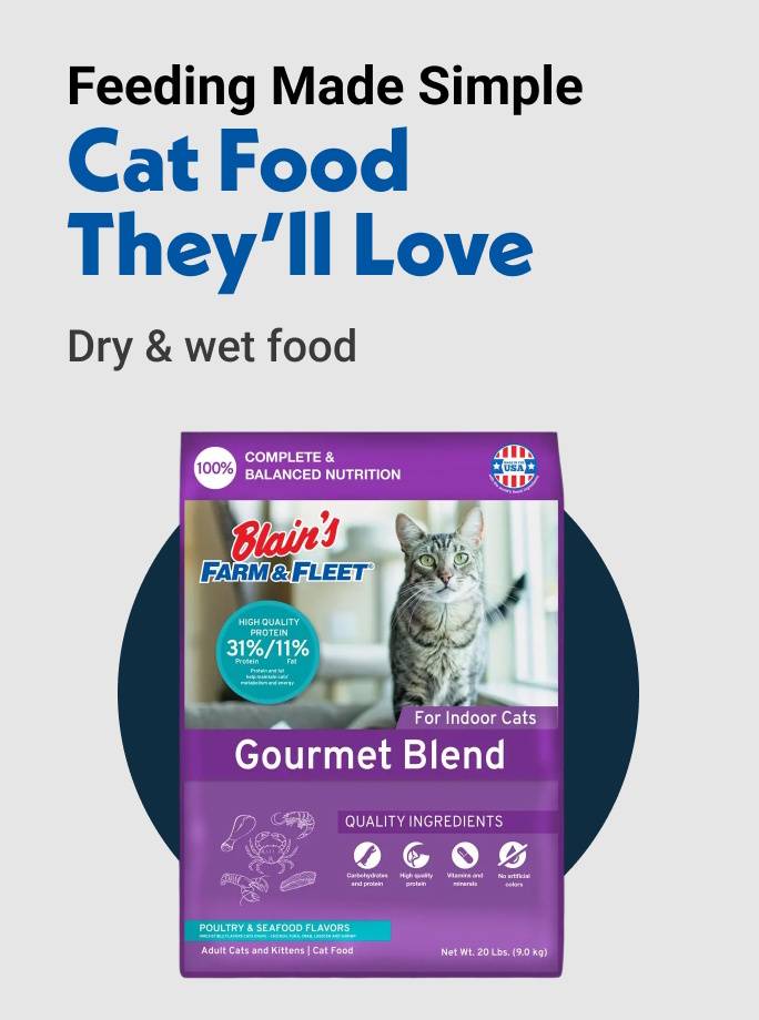 Feeding Made Simple Cat Food They'll Love Dry & wet food