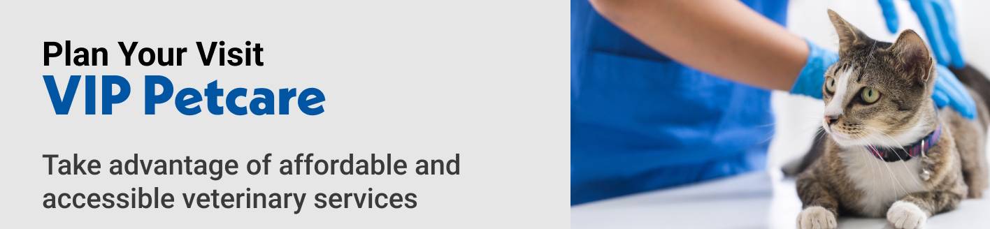 Plan Your Visit VIP Petcare Take advantage of affordable and accessible veterinary services