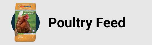 Poultry Feed