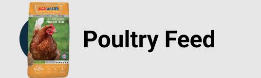 Poultry Feed