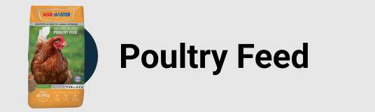 Poultry Feed