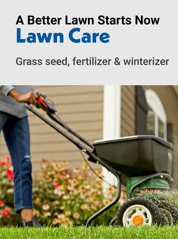 A Better Lawn Starts Now Lawn Care Grass seed, fertilizer & winterizer