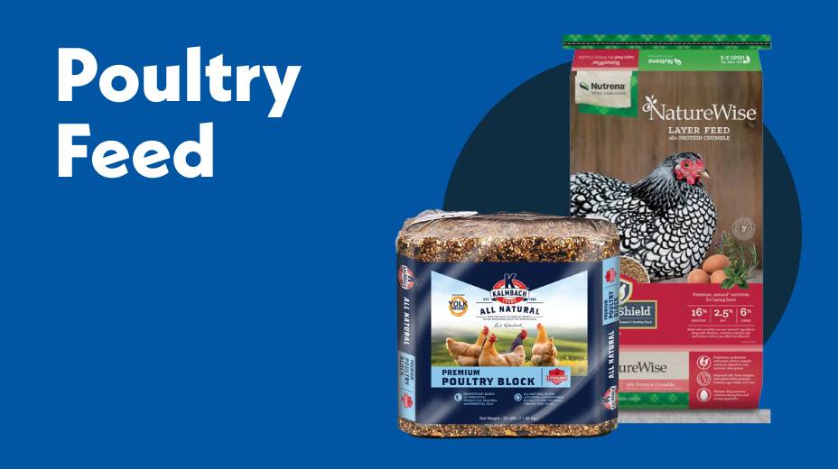 Poultry Feed