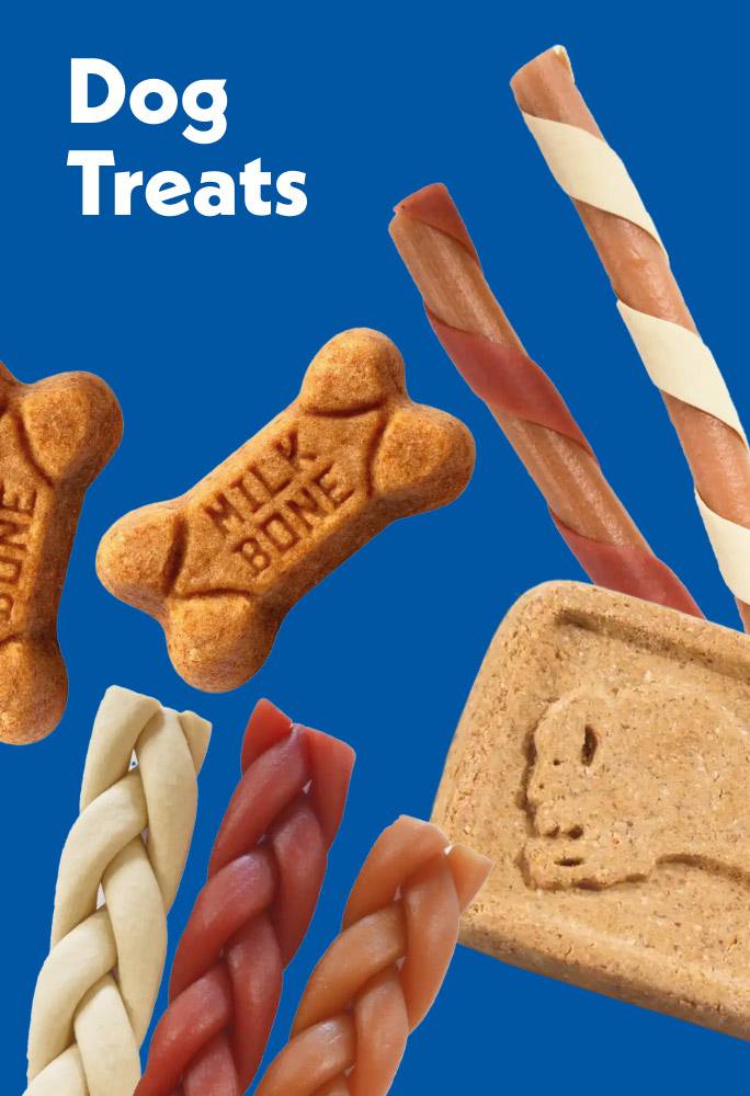Dog Treats