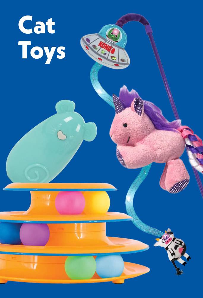 Cat Toys