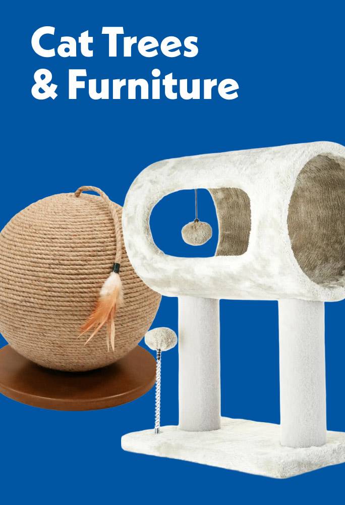 Cat trees and furniture